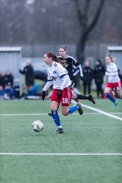 Bild 22 - wBJ HSV - F VfL Jesteburg : Ergebnis: 6:1